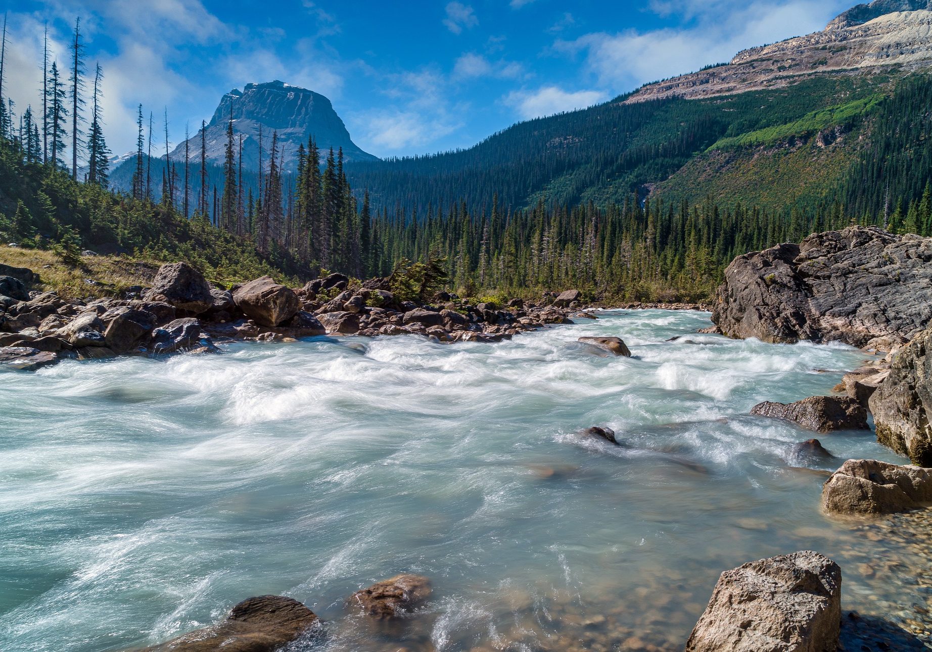 North American Nature